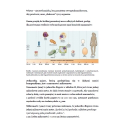 nie mówimy NIC ! strach, posłuszeństwo czy głupota ? krótka refleksja nad funkcją oraz zasadnością stosowania maski na twarz. PORADNIK (e-book)